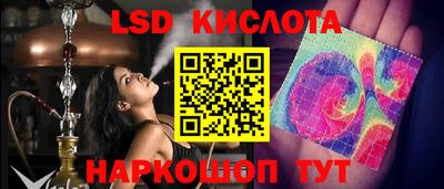 СК Новокубанск