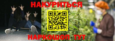 СК Новокубанск