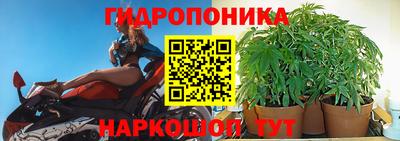 молекула духа Новозыбков