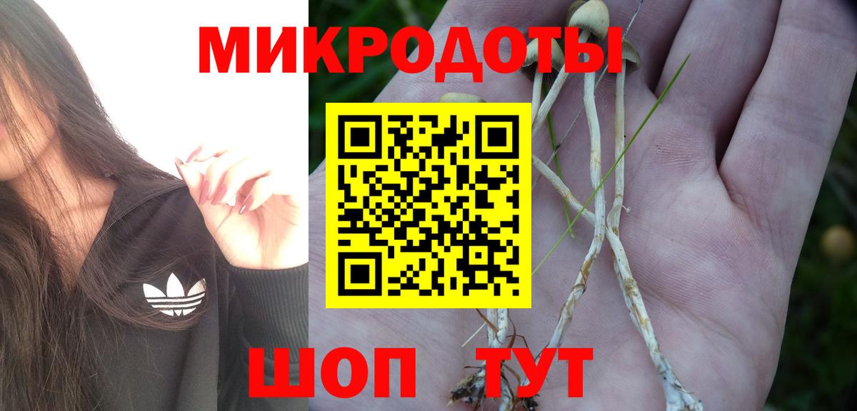 Псилоцибиновые грибы прущие грибы Татарск
